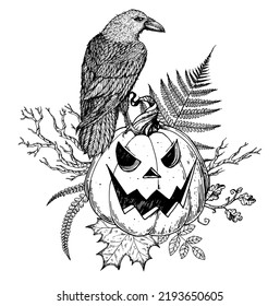 Ilustración de calabaza de Halloween. Ilustración vectorial dibujada a mano. Jack o Lantern. Raven sentado en la calabaza de Halloween. Diseño vintage para la celebración de Halloween. Elementos de diseño