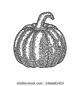 Halloween pumpkin isolated on white background. Old vintage style hand drawing engraved. Design element for banner, menu, poster, web. 