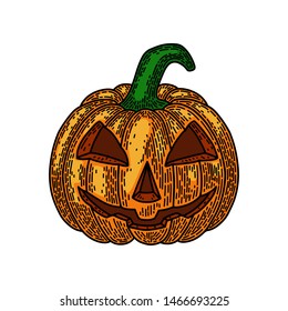 Halloween pumpkin isolated on white background. Old vintage style hand drawing engraved. Design element for banner, menu, poster, web. 