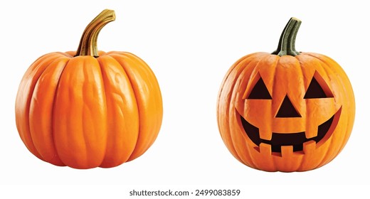 halloween pumpkin isolated white background 