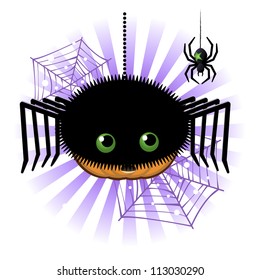 Halloween pumpkin Jack o lantern in spider costume