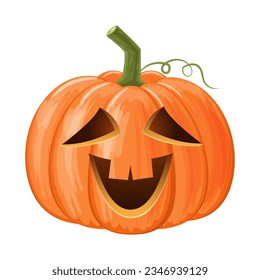 Halloween pumpkin . Jack o'lantern . Isolated white background . Vector .