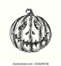 Halloween pumpkin Jack-o-lantern. Ink black and white drawing. Vector illustration