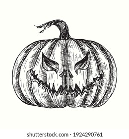 Halloween pumpkin Jack-o-lantern. Ink black and white drawing. Vector illustration