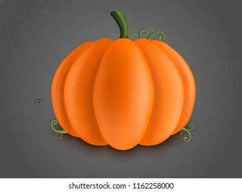 Halloween Pumpkin and Little Black Spider with Web, Isolated, Realistic Hand Drawn Vector 3D Illustration