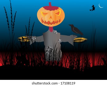halloween pumpkin on the field
