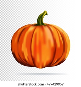 Halloween pumpkin on white background