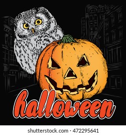 Halloween. Pumpkin and owl. Vector illustration for greeting card, poster, or print on clothes. Celebration.