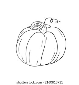 Halloween pumpkin with place for face thin line icon set. Outline sign without fill. Editable stroke. Coloring book illustration. Autumn harvest. Edible plants. Isolated vector on white background 