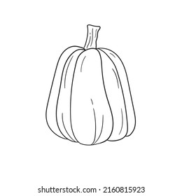 Halloween pumpkin with place for face thin line icon set. Outline sign without fill. Editable stroke. Coloring book illustration. Autumn harvest. Edible plants. Isolated vector on white background 