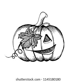 Halloween pumpkin sketch drawing with leaves, vector illustration. Pirate character.