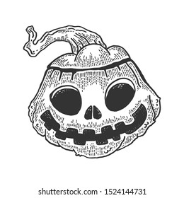 Halloween pumpkin sketch engraving vector illustration. Jack o lantern. Tee shirt apparel print design. Scratch board style imitation. Black and white hand drawn image.