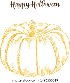 Halloween pumpkin sketch hand drawing vector illustration. Orange big ink pen pumpkin isolated on white.