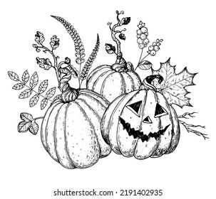 Halloween Pumpkin sketch illustration. Hand drawn vector illustration. Jack o Lantern. Autumn bouquet. Vintage design for the holiday Halloween. Design elements