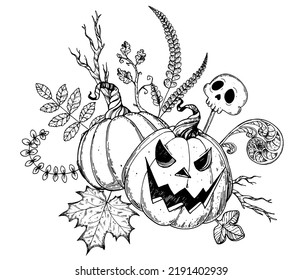 Halloween Pumpkin sketch illustration. Hand drawn vector illustration. Jack o Lantern. Autumn bouquet. Vintage design for the holiday Halloween. Design elements