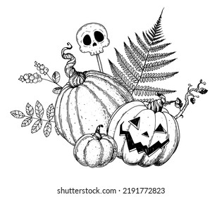 Halloween Pumpkin sketch illustration. Hand drawn vector illustration. Jack o Lantern. Autumn bouquet. Vintage design for the holiday Halloween. Design elements