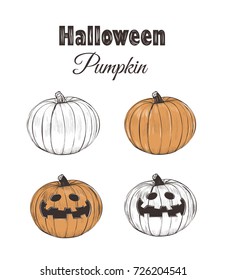 Halloween pumpkin sketch. Set of pumpkins vector illustration