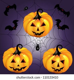 halloween pumpkin with spider and bat night
