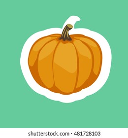 Halloween pumpkin - sticker. Vector illustration on turquoise background