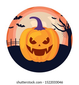 halloween pumpkin traditional icon vector illustration design