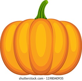 Halloween Pumpkin vector 