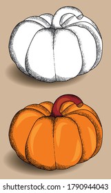 
Calabaza de Halloween dibujada a mano vectorial