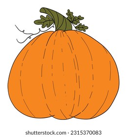 halloween pumpkin vector, hand drawing, cute cartoon face pumpkins with organge color and doodles for card, background, planner, fabric, pattern, wedding card and for decoration.