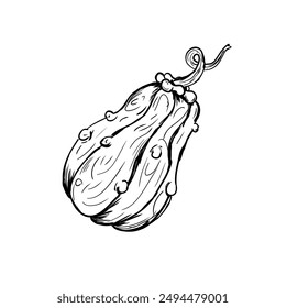 calabaza de halloween - Ilustración vectorial