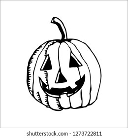 halloween pumpkin vector sketch