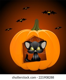Halloween pumpkins, black cat, bats