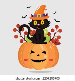 Halloween pumpkins with Halloween cat hat widget hat spider net vector