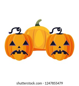 halloween pumpkins decoration on white background