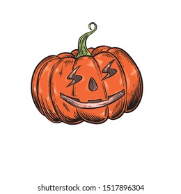 halloween pumpkins hand drawing engraving style for hallowen party