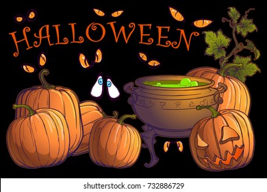 Halloween pumpkins, jack o'lantern and cauldron with magic potion on a black background. Postcard or other festive design template. EPS10 vector illustration
