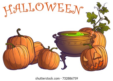 Halloween pumpkins, jack o'lantern and cauldron with magic potion on a white background. Postcard or other festive design template. EPS10 vector illustration