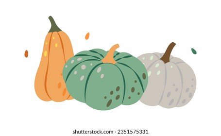Calabazas de Halloween. Conjunto de calabazas. Hortalizas de halloween de otoño. Ilustración vectorial.