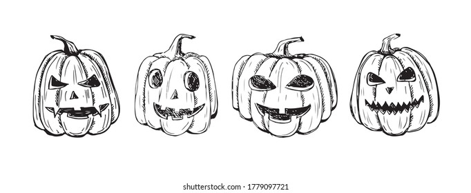 Calabazas de Halloween. Ilustración dibujada a mano.	