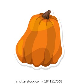 Halloween pumpkins stickers. Fresh orange pumpkin icon tasty ripe vegetable sticker healthy food concept vector illustration