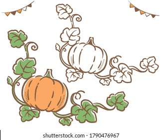 Halloween pumpkins and vines. Vector illustration.