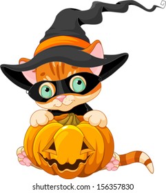 Halloween red tabby kitten with pumpkin