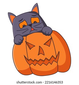 Halloween scared black cat on a  scary pumpkin.Hand drawn  illustration.Isolated on white background.