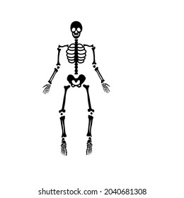 Halloween scary bones skeleton in doodle style. Medicine design. Vector illustration.