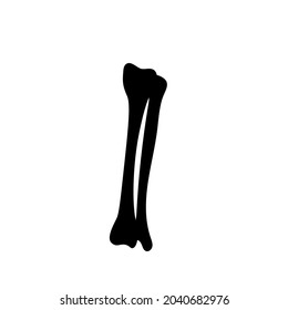 Halloween scary bones skeleton in doodle style. Medicine design. Vector illustration.