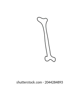 Halloween scary bones skeleton in doodle style. Medicine design. Vector illustration.