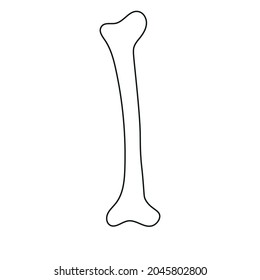 Huesos aterradores de Halloween esqueletos al estilo de doodle. Diseño de la medicina. Ilustración vectorial.
