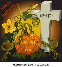 Halloween scary pumpkins on the cemetery at night. Vector illustration