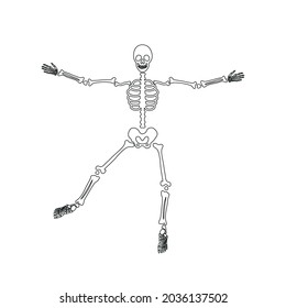 Halloween scary  skeleton. Outline bones vector illustration isolated on white backgroung.