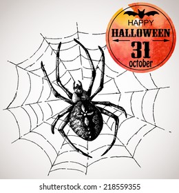 Halloween scary spider. Typographic poster background. Hand-drawn illustration and watercolor. Vector design sketch