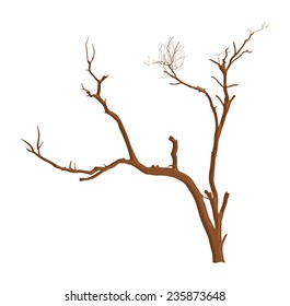 Halloween Scary Tree