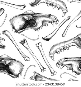 Halloween seamless pattern. Animal bones, sculls parts sketches. Skeleton vector illustration. Vintage design for witchcraft, alchemy, magic, Halloween decoration. Spooky background in retro style